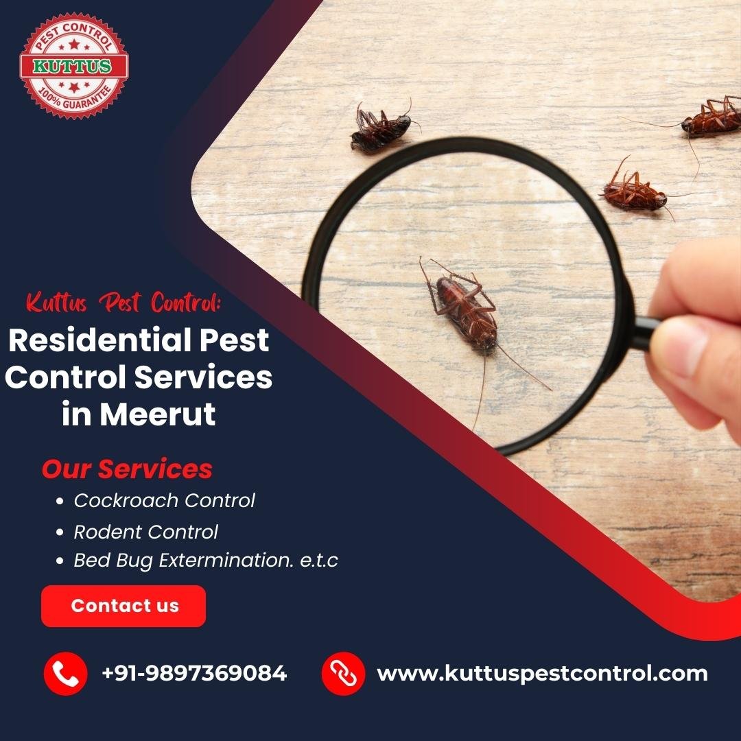 Residential Pest Control Services in Meerut, Residential Pest Control Services, Kuttus Pest Control